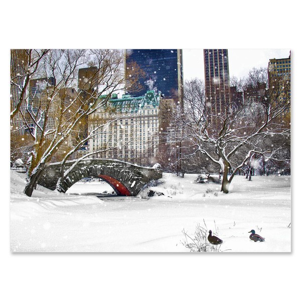 "Love Bridge Ducks in Central Park" New York City Holiday