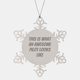 Valentine's Day Unique Gifts for Pilots, Thoughtful Gifts for Men, Women, Friends - Snowflake Ornament with Inspirational Quote