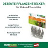 Windhager Pflanzenstecker für die Befestigung von Pflanzentrieben an Kokos-Pflanzstäben, 50