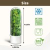 UEOZ Herb Keeper for Refrigerator, Herb Saver for Refrigerator, Vegetable