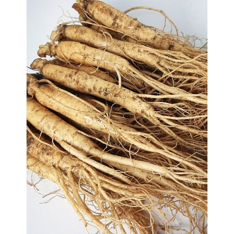 국내산 5년근 인삼 12-15뿌리 금산인삼 Domestic 5-Year-Old Ginseng 12-15 Roots