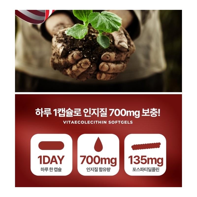 Lecithin Phosphatidylcholine Nutrients Phospholipid Cholesterol HDL / 레시틴 포스파티딜콜린 영양제