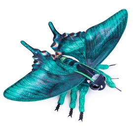 lilizzhoumax Green Band Swallowtail Butterfly Soft Toy Plush Toy Realistic Butterfly Plush Beautiful Animal Cute and Soft Gifts for Children Boys and Girls 10.6 Inches Green