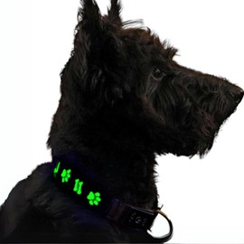 MOLINE YOU Rechargeable USB Dog Collar, LED Light, Glow in The Dark Collar for Dogs, Water Resistant and Weatherproof with 15 Lighthing Modes, Collars Perfect for Night Walks. (Medium, Black)