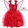 Soyoekbt Fairy Costume for Girls Princess Tutu Dress with Butterfly