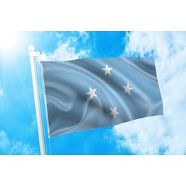 DMSE Federated States of Micronesia Flag 3X5Ft Foot 100% Polyester 100D Flag