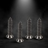 CHEDA Tail Light Tail Lamp Lens Upper Screw to Bumper
