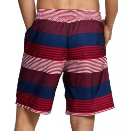 Speedo Men's, Border Line Performance 20" E-Boardshorts, Multi, L