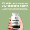 Natural Foundation Supplements Akkermansia Muciniphila Probiotic Supplement 240 Tablets for