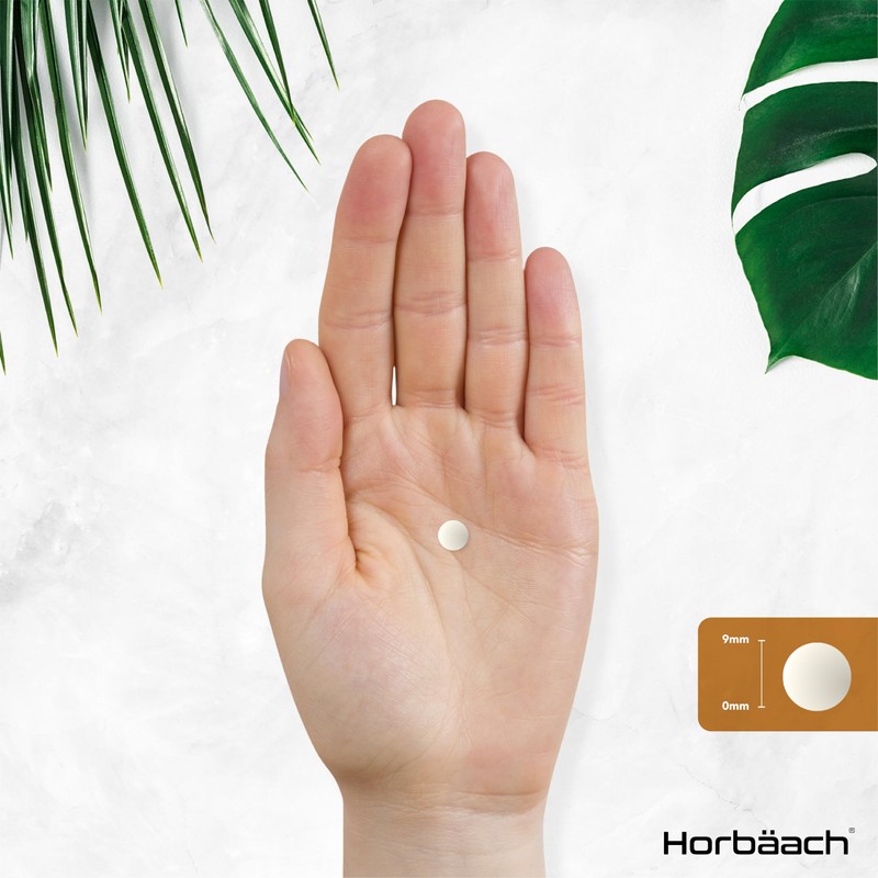 Ingwer Tabletten 3000mg | Ingwerwurzel extrakt | 200 Vegane Stück