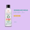 Blends Botanicare Desmaquillante Micelar Detox 350ml