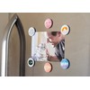 Pearhead Cat Kitchen Magnets, Pet Themed Refrigerator Magnets, Cat Décor