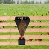 Adjustable Chicken Cone 8-16 Lbs With Adjustable Opening Sizes,Heavy Duty