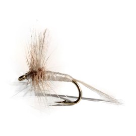 Flies Direct Pale Morning Dun Assortment Trout Fishing Flies (1-Dozen), White