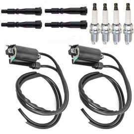 Unbranded 2x Ignition Coil +Spark Plug  For Honda Shadow ACE 750 VT750 1998-2003