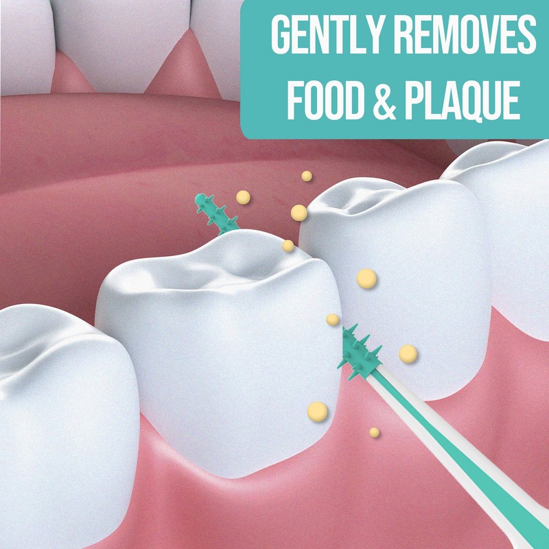 Dr. Emma Dental Picks Mint Brush Picks 100Ct/Pack, 2 Packs