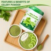 18OZ Pure Celery Powder - 100% Natural Dried Celery Juice