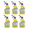 De-Solv-It Citrus Solution - Odor & Stain Remover for Cloth,