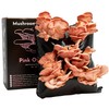 Urban Farm-It - Mushroom Growing Kit, XL Pink Oyster (Pleurotus