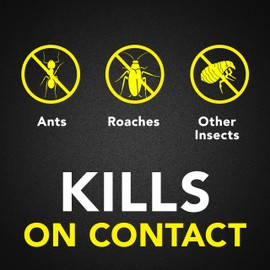 Raid Ant & Roach Killer Spray For Listed Bugs, Keeps Killing for Weeks, Fresh Scent, 17.5 oz