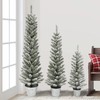 Potted Flocked Pencil Trees in 3ft, 4ft & 5ft Sizes,