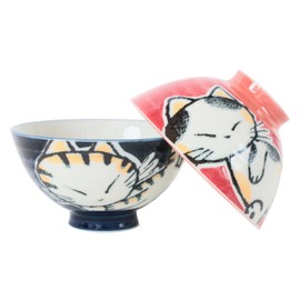 Mino ware Japanese Pottery Pair Rice Bowl Animal Pattern (set of 2) made in Japan (Japan Import) MIG016 (Tabby Cat)
