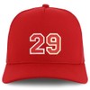 Trendy Apparel Shop Number 29 Varsity Font Embroidered 5 Panel
