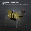 Queenmore Small Dog Life Vest for Swimming, Shark Dog Life
