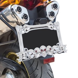 Skull Decor Motorcycle License Plate Frame 9x5.5inch Accessory Motorbike Spare Parts PP Generic Fit, Silvery