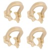 4pcs Resin Dental Dam Clamps Barrier Clip Dental Materials Tool