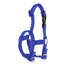Kerbl Alpaca Headcollar, All Alpaca Types, Clip Closure, Adjustable Size, Blue