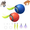 Speedy Tail 2.0 Cat Toy, 2Packs and 4 Tails Speedy