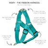 Pet Passion REMY - The Recycled Ribbon Harness, Turquoise, X-Small