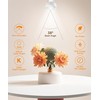 Fionaled MR16 LED Bulbs, 50W Halogen Replacement, 5000K Daylight White,