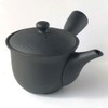 Tokoname Ware Teapot Black 93t Sera Mesh 350cc