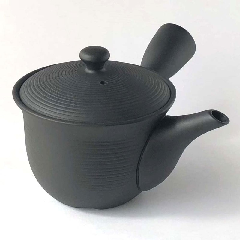 Tokoname Ware Teapot Black 93t Sera Mesh 350cc