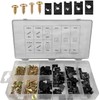 Car Door Panel U-Clip and Screw Kit, 170 Pieces, 9