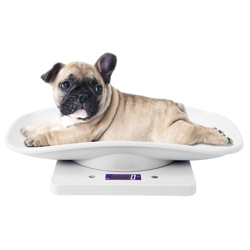 10kg/1g Digital Pet Scale,with 3 Weighing Modes Pet Scale to
