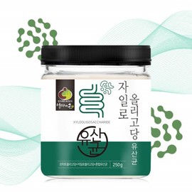 Lactobacillus / 락토바실러스 자일로올리고당 유산균 프리바이오틱스 가루 장에좋은 프락토 좋은 유산균 분말 파우더