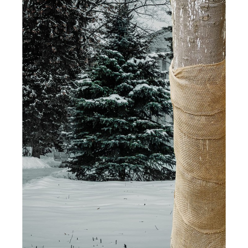 Medoore Natural Burlap Tree Protector Wraps, 40inches x 20ft Plants