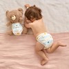 Honest Hybrid Cloth Diaper Covers with Pocket-Sling, Large (22-40 lbs),