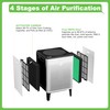 Hichoryer Airmega Max2 300 Filter Replacement, Compatible with Coway AIRMEGA