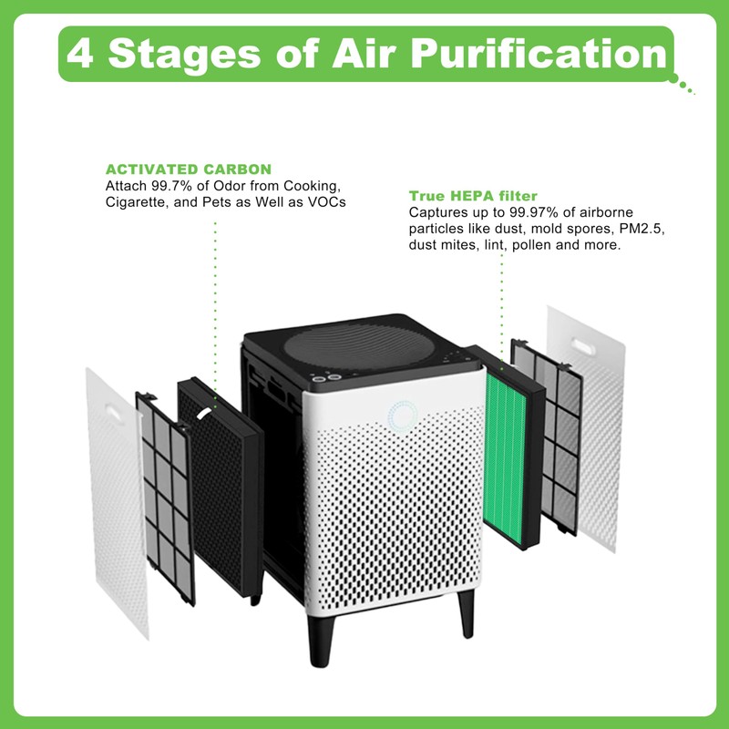 Hichoryer Airmega Max2 300 Filter Replacement, Compatible with Coway AIRMEGA