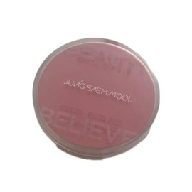 NEW Vitality Blush Cheek Jeong Saem Mool Artist Cushion Blush Blur / NEW생기블러치크 정샘물 아티스트 쿠션 블러쉬 블러