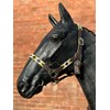 Argentina Polo Leather Horse Headcollar Halter, Embroidered, Rose Pink /Green