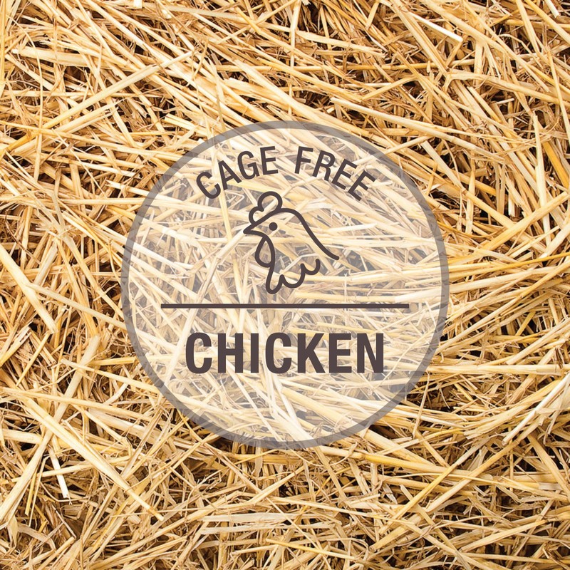 ケーナインナチュラル ドッグフード プレミアム缶 チキン 170g