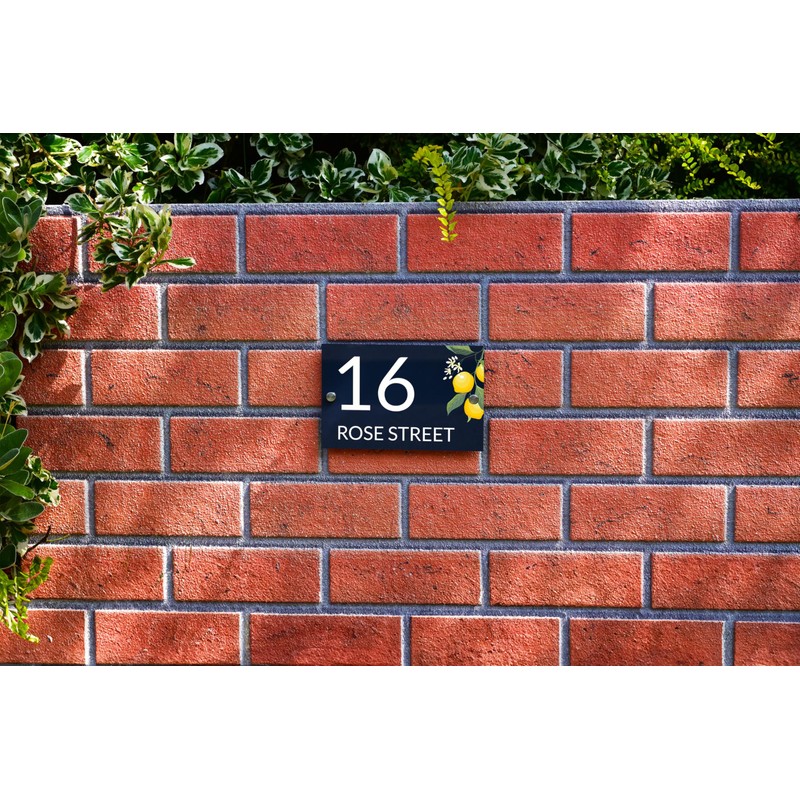 Badgemaster Modern Anthracite House Number Sign Plaque Stainless Steel Standoffs