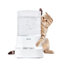 PAWGETHER® Gravity Automatic Pet Water Dispenser for Cats and Small Dogs 1 Gallon/3.5L Auto Pet Waterer Dog Water Dispenser, Easy to Fill