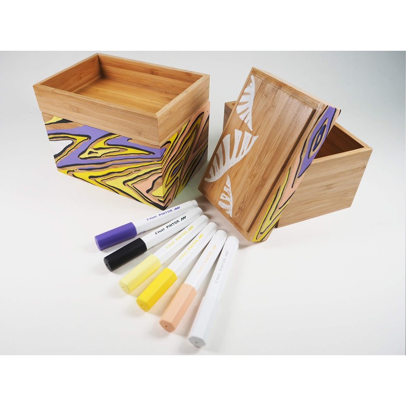 Pilot Pintor - Pack of 4 - White - Extra