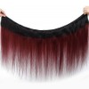 1B/99J Human Hair Bundles Ombre Straight Bundle Burgundy Bundles Human